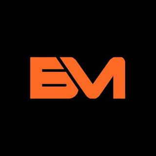 Логотип @bassmechanixxx - BassMechanix🔊