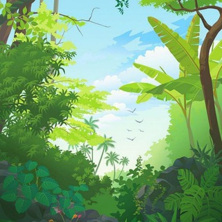 Логотип @basssss_room - 玄学_图书收集