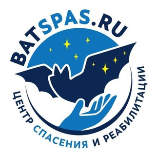 Логотип @batspas - 🦇 batspas 🦇