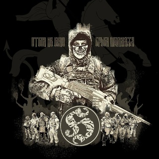 Логотип @battalion106 - Разведотряд 106