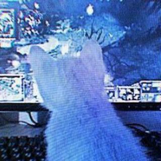 Логотип @batterfleas - songs /|\ парные авы и многое другое..💙