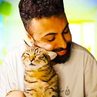 Логотип @battlesealschanneltelegram - БОЕВЫЕ КОТИКИ