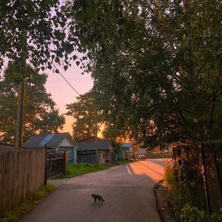 Логотип @battlvso - Баттл внешек❤️💅