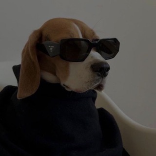 Логотип @bauerstyle - Блог Стилиста