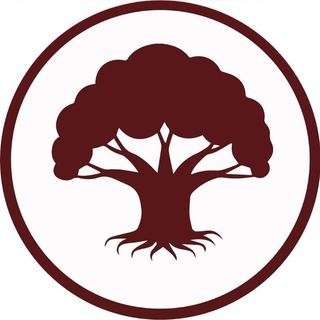 Логотип @baumhaus_doma - BAUMHAUS | Ваш проводник к дому мечты