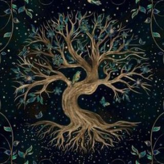 Логотип @baumkanal - Freunde des Waldes / der Natur