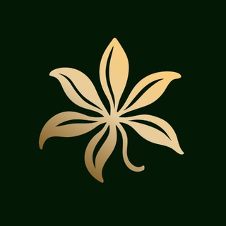 Логотип @baunty_spa_kzn - ILANGOLANG SPA (ранее BAUNTY SPA)