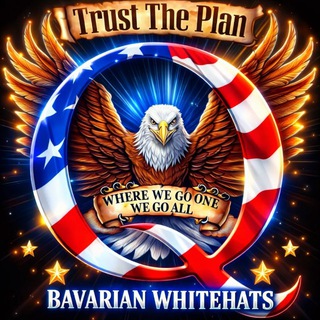 Логотип @bavarianwhitehats - Bavarian White Hats