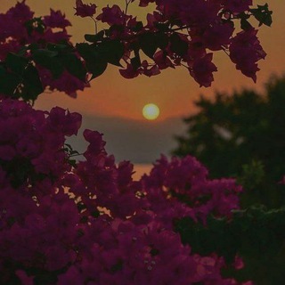 Логотип @baxtiyorova_mm - 𝑩𝒙𝒕𝒚𝒓𝒗'𝒔