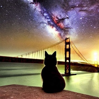 Логотип @bayarea_persians - Bay Area Persians