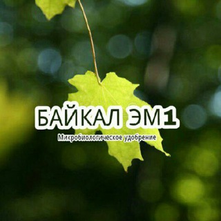Логотип @baykalem1 - BAYKAL EM 1.UZ_ Байкал Эм1