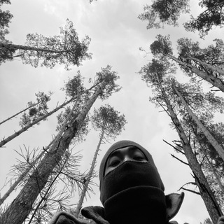 Логотип @bayounggmusic - Bayoungg