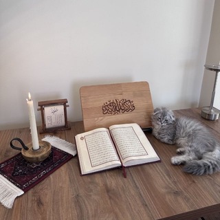 Логотип @baytalmuwahhidat - فوائد نافعة للنفس والقلب𑣲