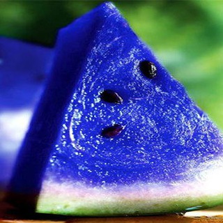 Логотип @baza_38 - БАЗА_38