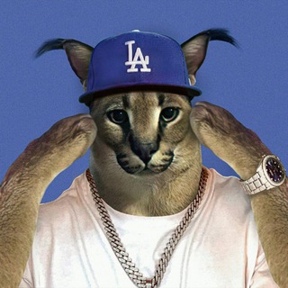 Логотип @bazafonov - База фонов💎