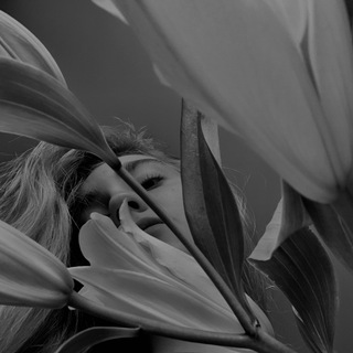 Логотип @bbbeavery - Beaver 98