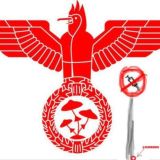 Логотип @bbcoonfa - bbcoonfa