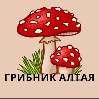 Логотип @bbnnmmio - АРТЁМ МУХОМОРЫ ЕЖОВИК