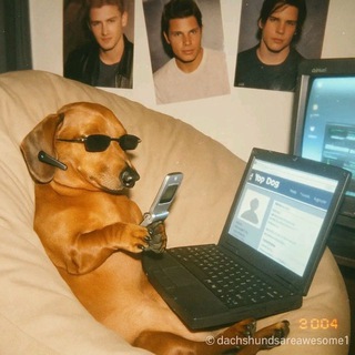 Логотип @bbritankaa - анна брит