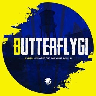Логотип @bbutterflygi - butterflygi