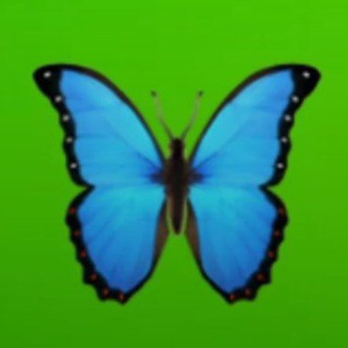 Логотип @bbyabru - 💩говно 💩