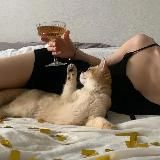 Логотип @bdhpwbej - Кот блядун и его кошечка