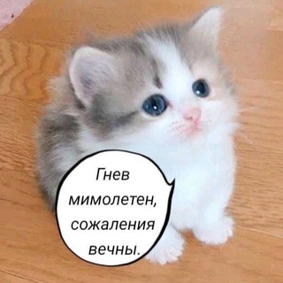 Логотип @bdsmpeoplesclub - Новостной портал «рыгота1»