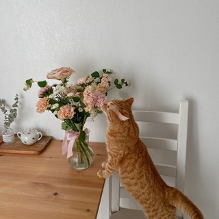 Логотип @beads_cat - 🐱ᴄᴀᴛ_ʙᴇᴀᴅᴤ🐱