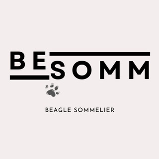 Логотип @beaglesomm - BeSomm | Вино и бигль