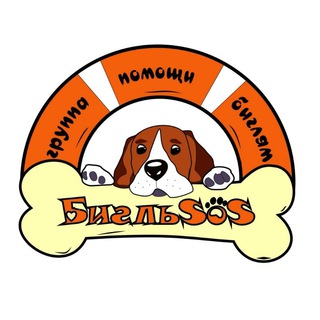 Логотип @beaglesos - БИГЛЬSOS - ГРУППА ПОМОЩИ БИГЛЯМ