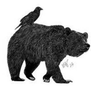 Логотип @bear_raven_co - Bear, Raven & Co.