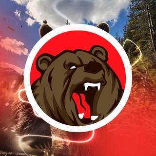 Логотип @bearrace - МЕДВЕЖЬЯ ГОНКА