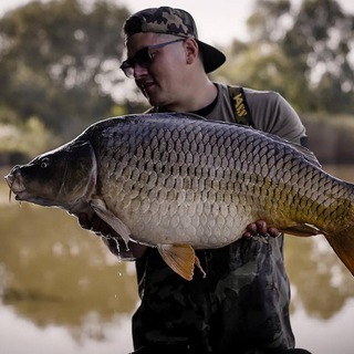 Логотип @bears_fishing - Рыбалка в Самарканде - Балик ови Самарканд