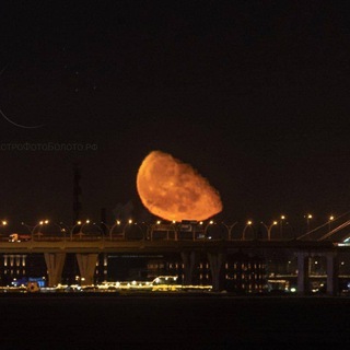 Логотип @beatifulpiter - Красивый Санкт-Петербург