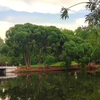 Логотип @beautiffulnature - Nature is beautiful 🌏
