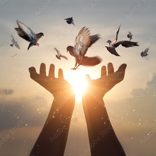 Логотип @beautiful42 - Природа | Афоризмы | Цитаты