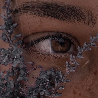 Логотип @beautiful_souls8 - Прекрасная душа ✨