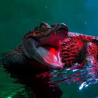 Логотип @beautiful_tiktonik - 𝕬𝖓𝖆𝖘𝖙𝖊𝖟𝖘𝖍𝖆 𝖒𝖚𝖘𝖎𝖐