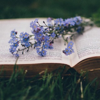 Логотип @beautyinprocess - Процесс - это красиво