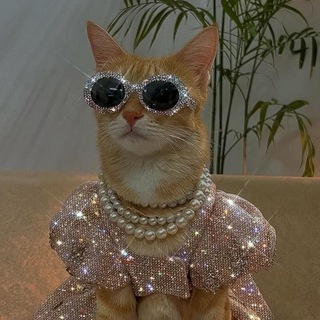 Логотип @beautytelega - бьюти телега