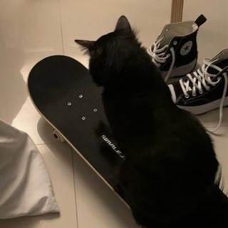 Логотип @bebebe_kitten - a c g4nD0n08
