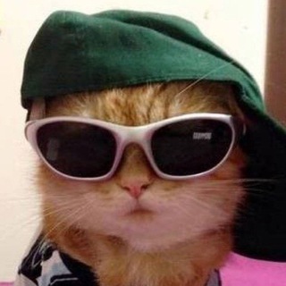 Логотип @bebriqus - бебрики