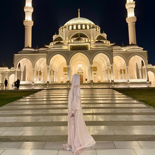 Логотип @becausemysoul - 𝐏𝐮𝐭𝐧𝐢𝐤𝐢 🪽