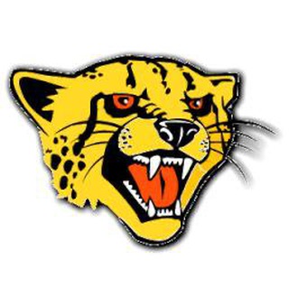 Логотип @becheetah - Cheetah - всё о B2B лидогенерации, AI и Sales-tech