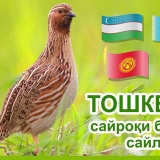 Логотип @bedanavozla - 🥇САЙРОКИ БЕДАНА ИШКВОЗЛАРИ