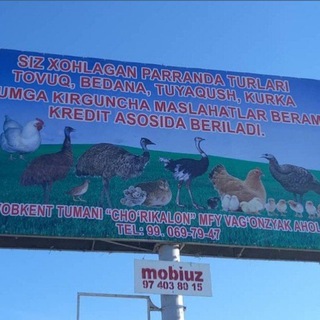 Логотип @bedonachi_2021 - БЕДАНА ТОВУК ПАРРАНДАЧИЛИК