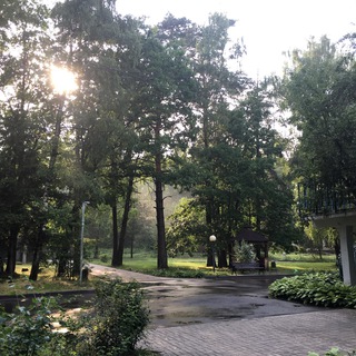 Логотип @beemotg - beemo!