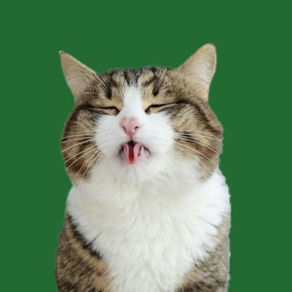 Логотип @beerexperiencechatroom - Beer Experience by HNK СhatRoom