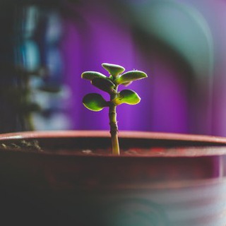 Логотип @beginningcreators - Beginning Creators