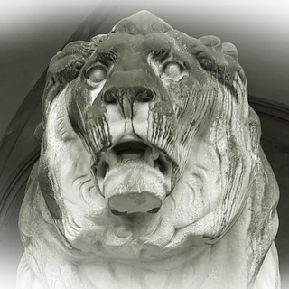 Логотип @begleita - От Альп до Рейна